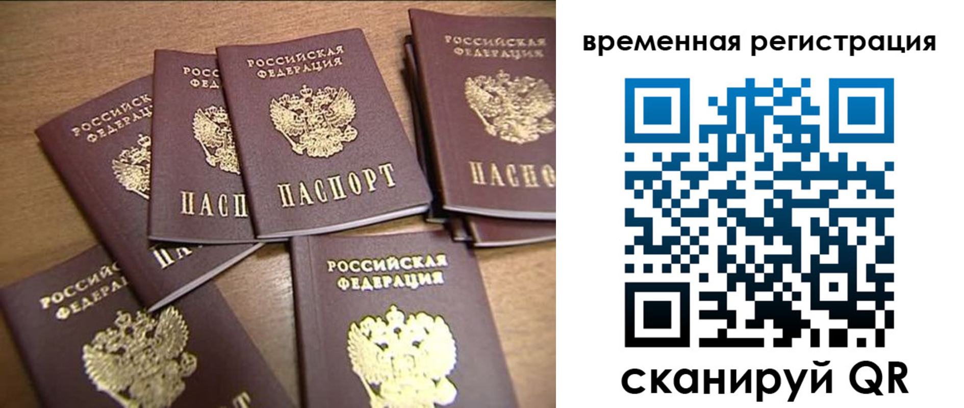 прописка ребенка в Снежногорске